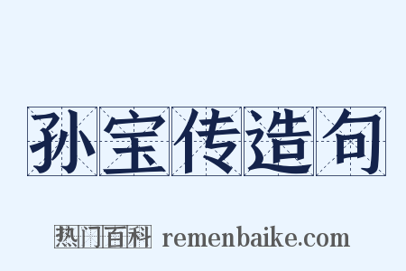 孙宝传造句是什么意思的图片